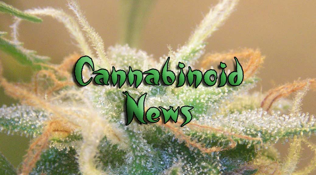 CBD-Focused Anebulo Pharma Posts Q4 & Full Year 2021 Earnings, Launching Phase 2 …