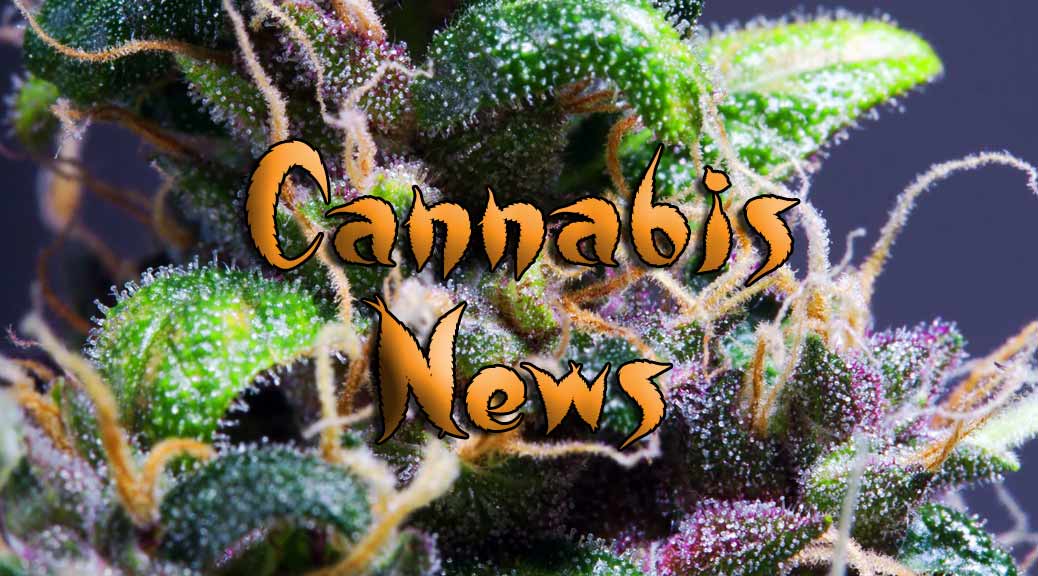 Cannabis Stock News Daily Roundup July 29