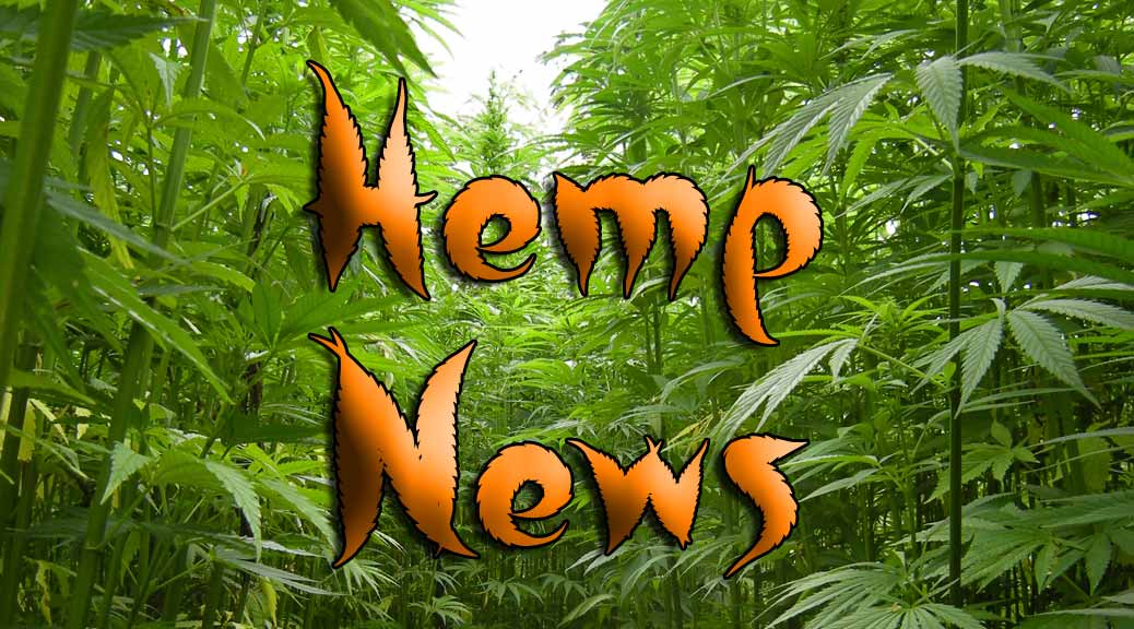 Farmers Jump Off Hemp Bandwagon Amid Lack Of Profit And Underwhelming Performance