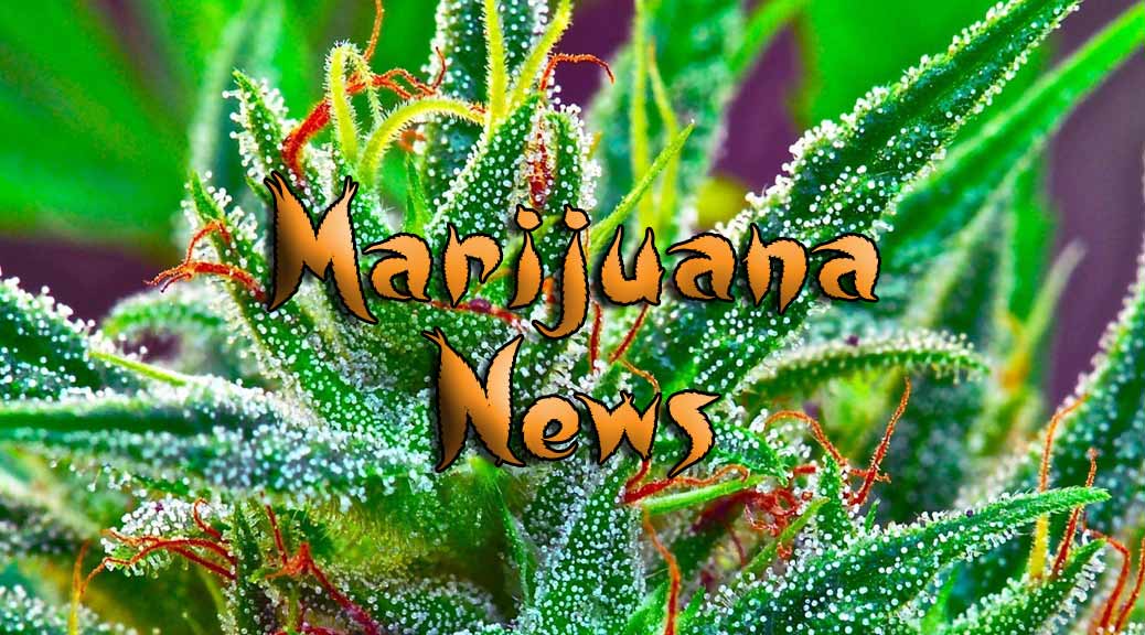 New medical marijuana expansion law in effect in Amarillo, some doctors have concerns